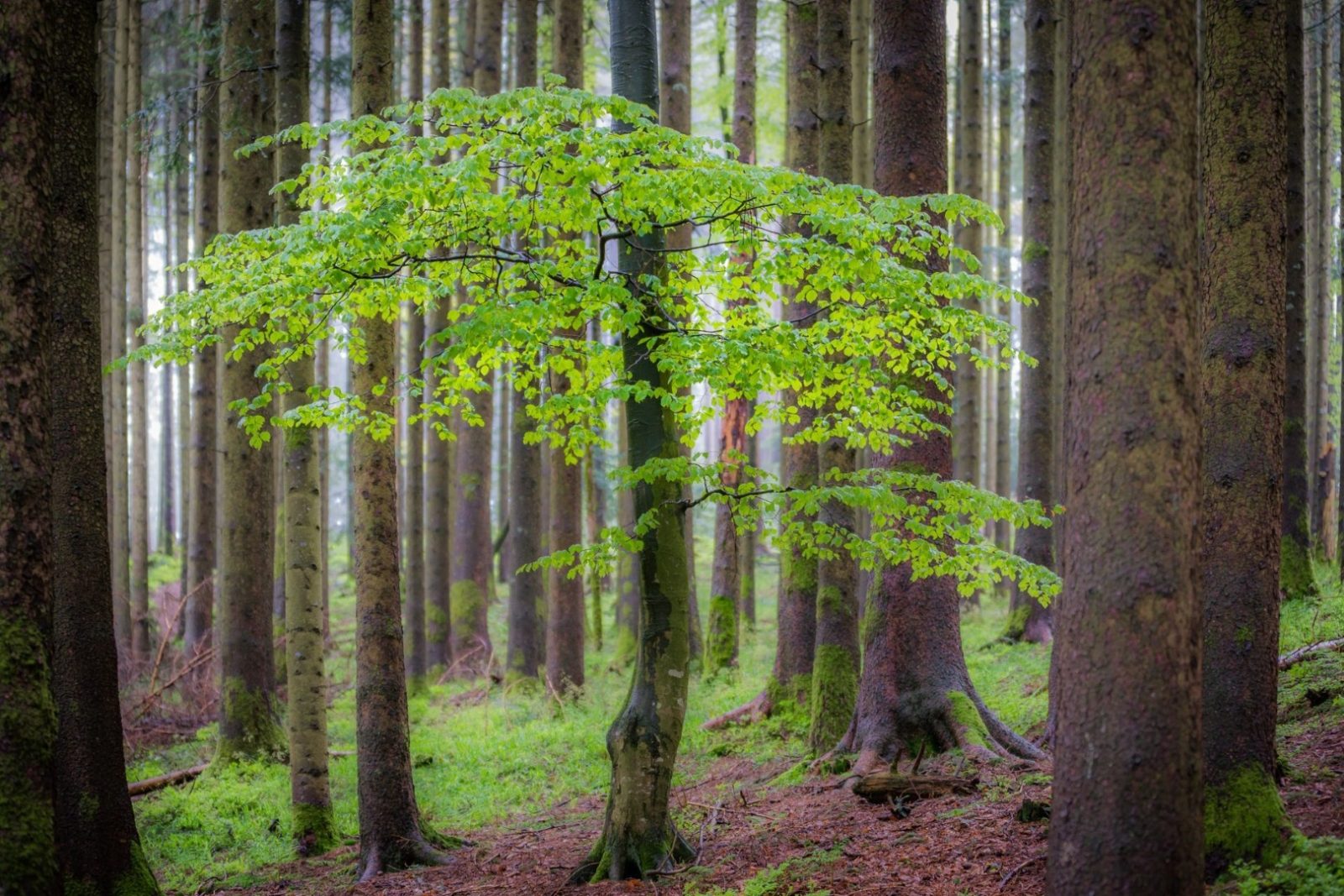 Impressionen Hoch-Etzel