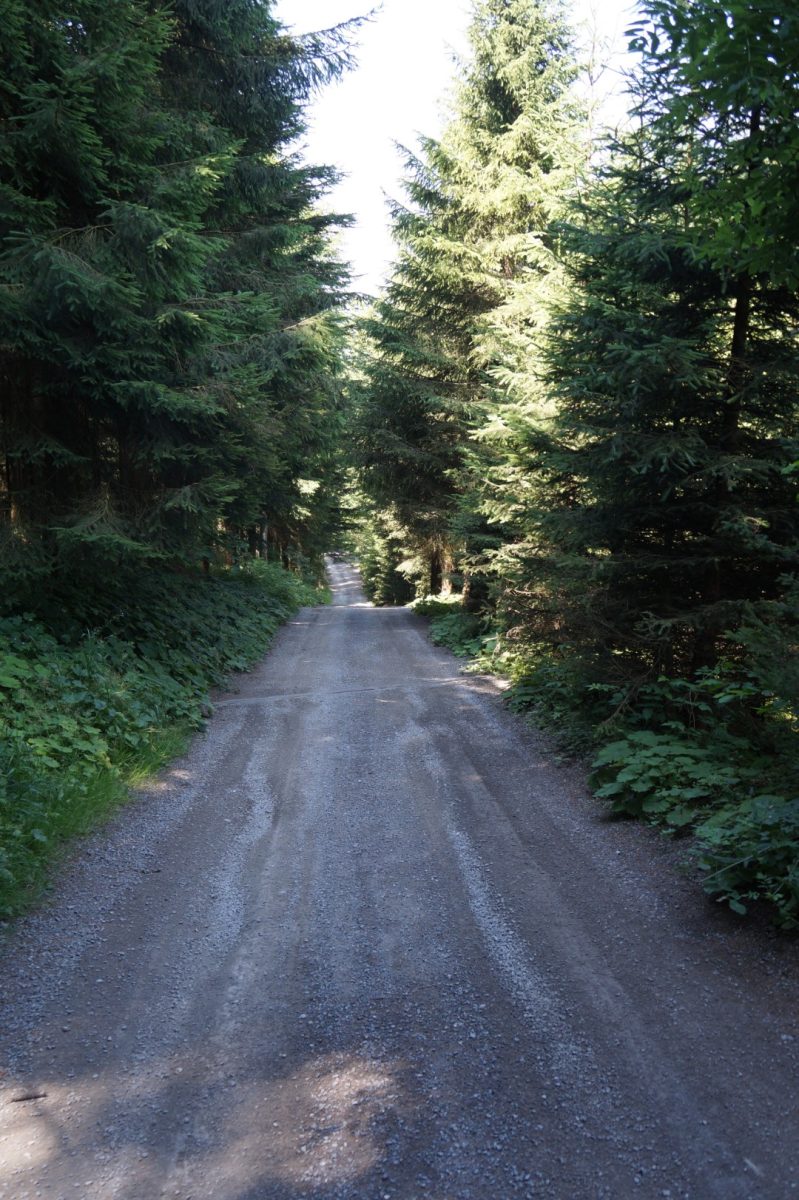 Impressionen Hoch-Etzel
