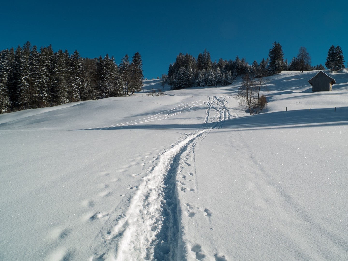 Impressionen Hoch-Etzel
