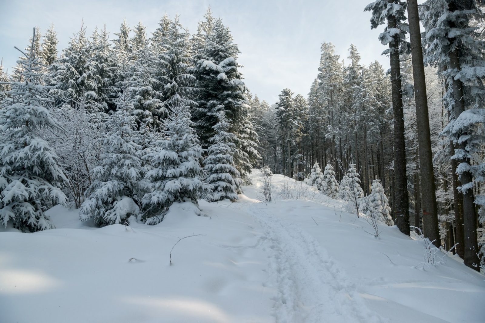 Impressionen Hoch-Etzel