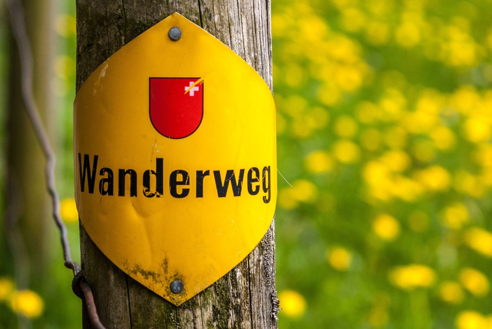 Impressionen Hoch-Etzel