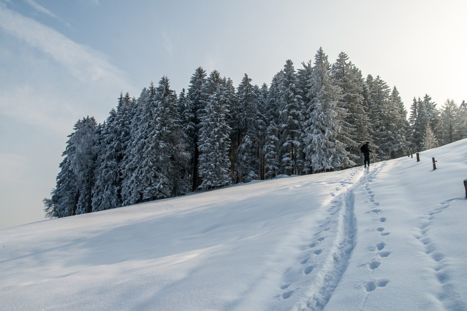 Impressionen Hoch-Etzel